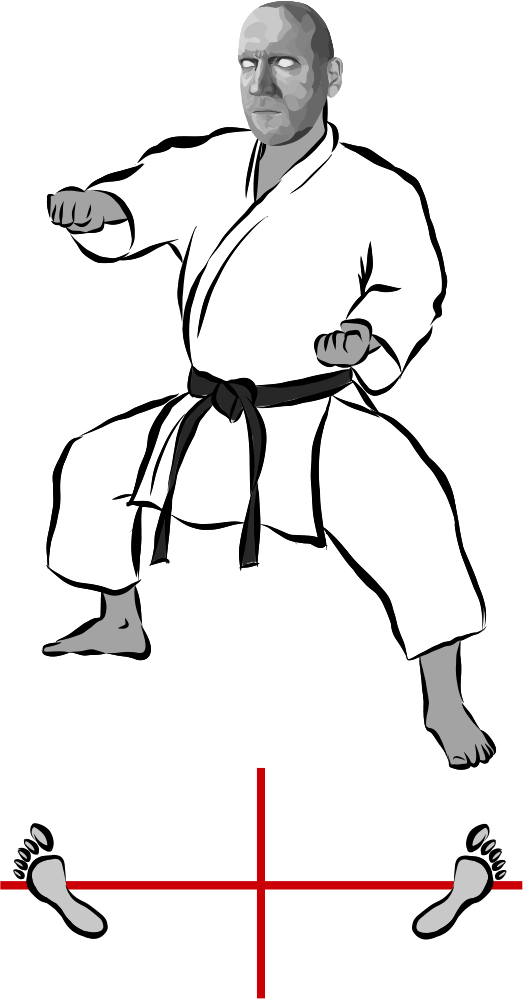 Shiko dachi (Sumo stance)